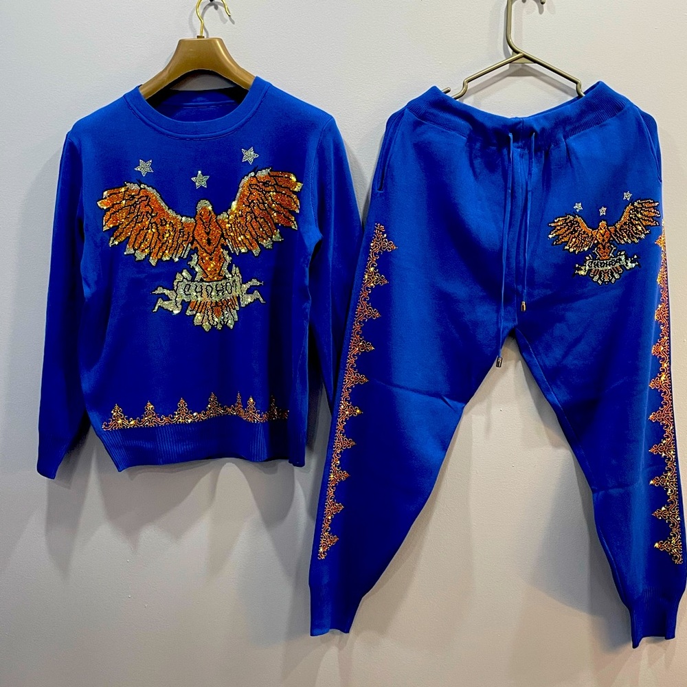 Woolen Track suit with embroidery.